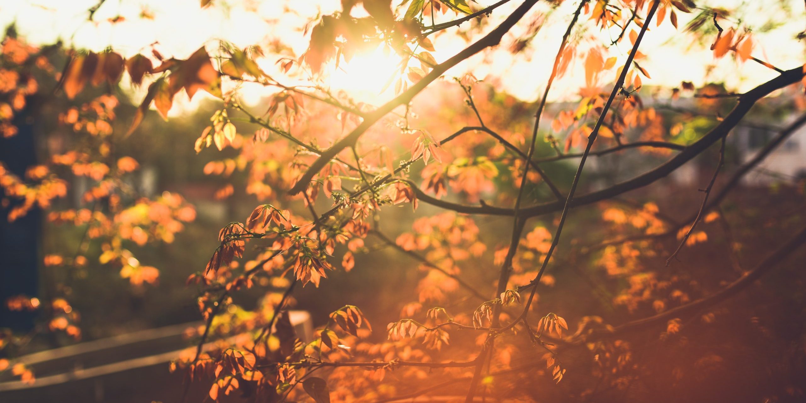 seasonal-facility-inspection